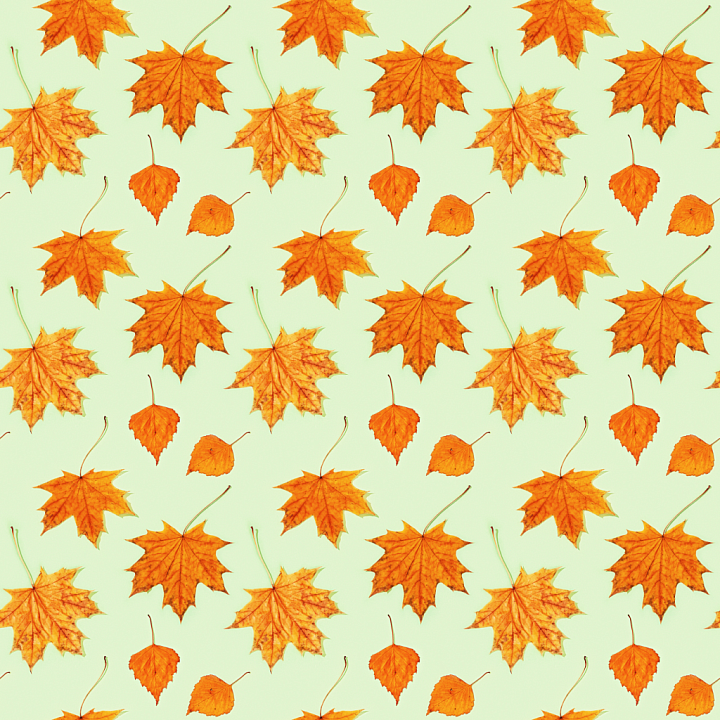 Featuring Bright Orange Autumn Leaves on Pale Background seamless PBR texture preview