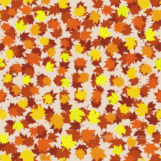 Autumn Leaves Texture of Colorful Autumn Maple Leaves Pattern Autumn Leaves texture preview