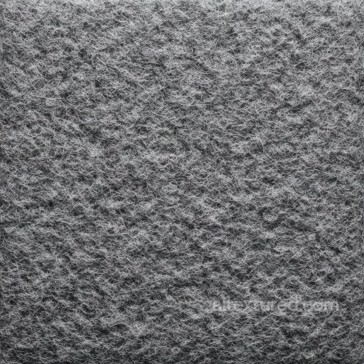 Felt PBR Texture Featuring Dense Gray Wool Fibers with Matted Surface seamless Felt PBR texture