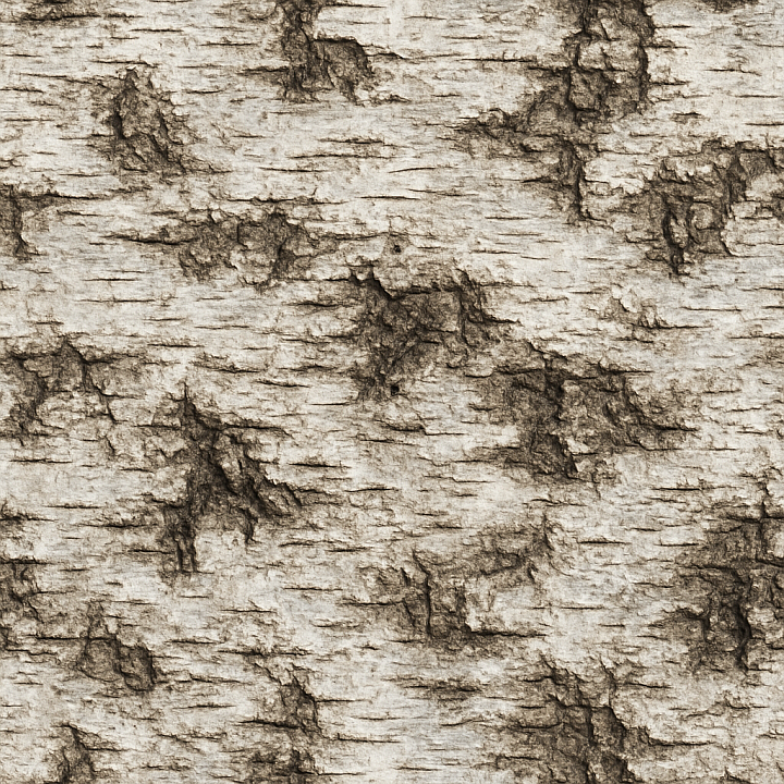 Rough Birch Wood seamless PBR texture preview