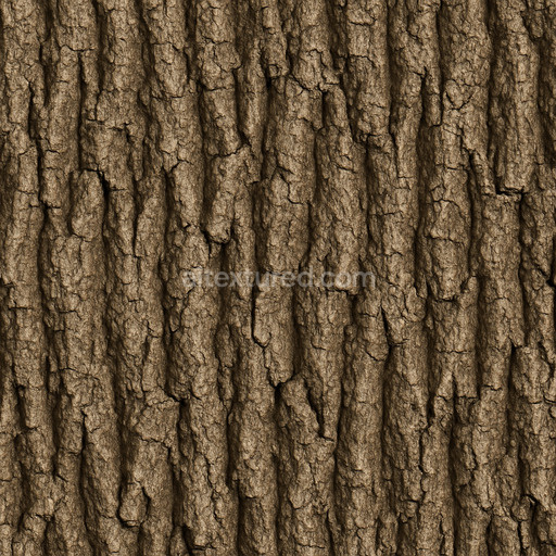 Fine Oak Bark Texture Seamless 1024X1024