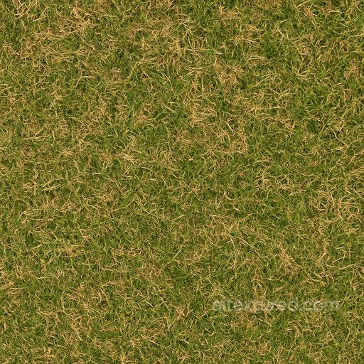Dry Green Lawn Texture seamless Grass PBR texture