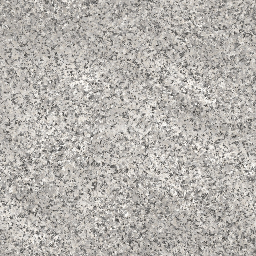Granite Stone Rock Seamless Gray Rough Textured Natural Solid Durable