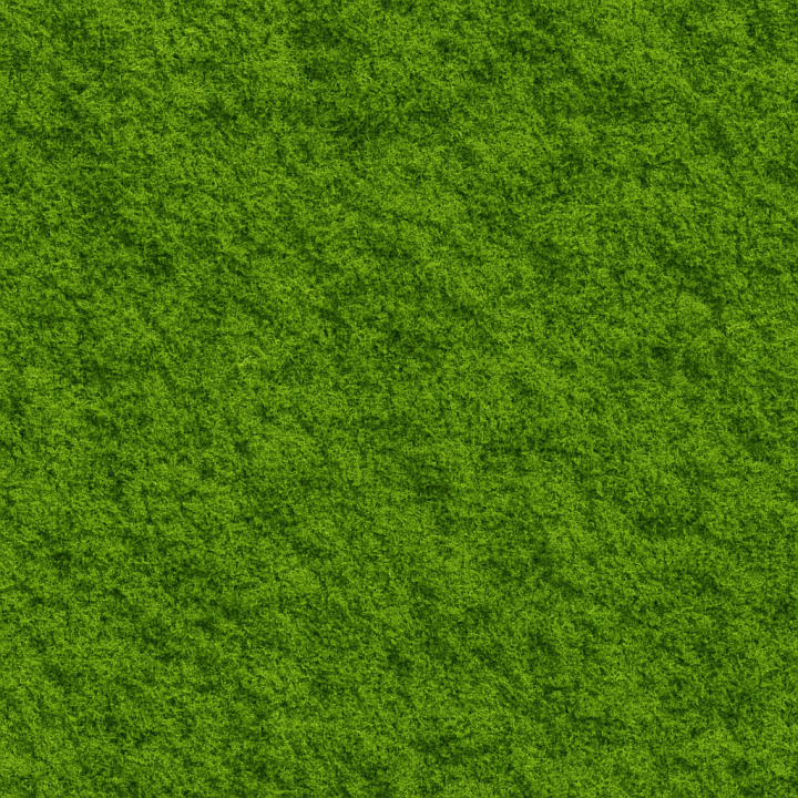 Clean Green Moss seamless PBR texture preview