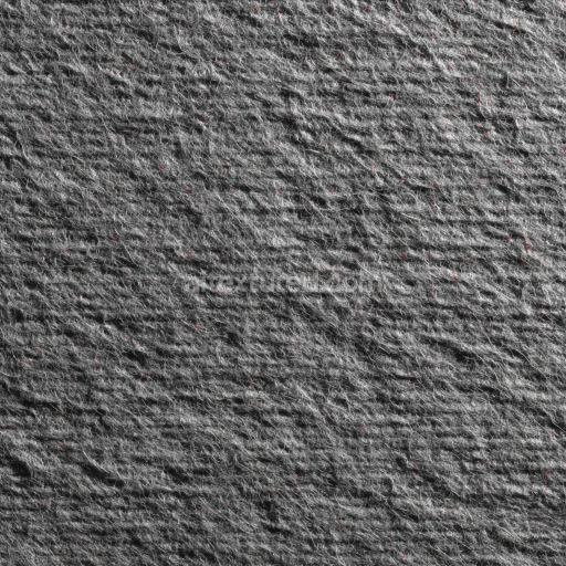 Seamless 3D Felt PBR Texture Featuring Dense Gray Wool Fibers with Subtle Red Flecks