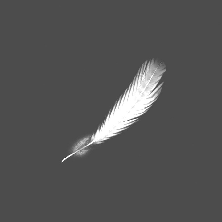 Quill Pen Made of Bird Feather seamless PBR texture preview
