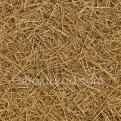 seamless Realistic Hay Seamless Texture texture 1024x1024 free download PBR