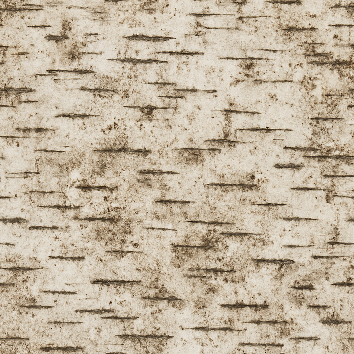 Dirty Birch Wood seamless PBR texture preview