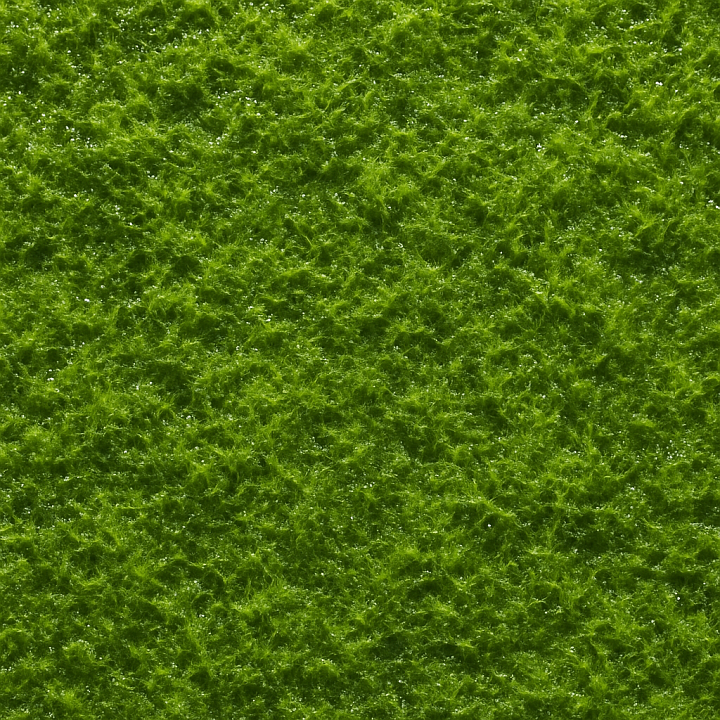 Synthetic Wet Moss seamless PBR texture preview