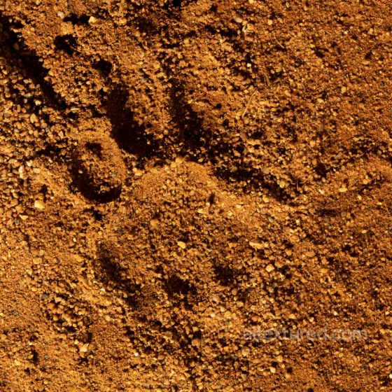 Brown Soil Texture with Coarse Gravel and Natural Variation for PBR Sand-soil texture preview