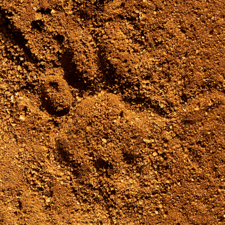 Brown Soil with Coarse Gravel and Natural Variation for seamless PBR texture preview