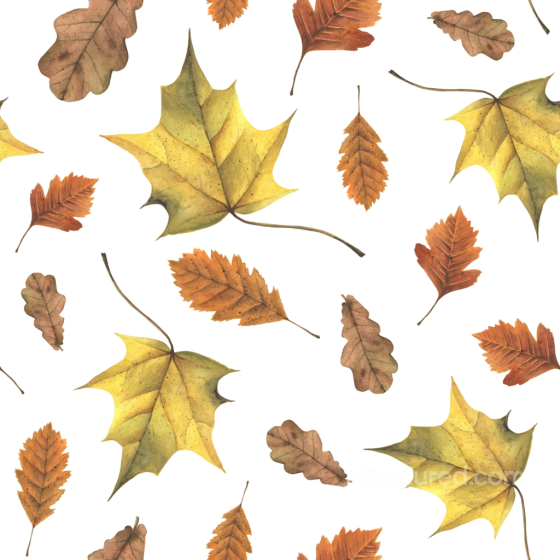 Autumn Leaves in Natural Yellow and Orange Tones Seamless Texture Autumn Leaves texture preview
