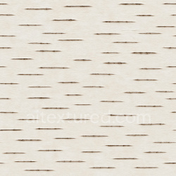seamless Polished Birch Bark Texture Seamless 1024X1024 texture 1024x1024 free download PBR