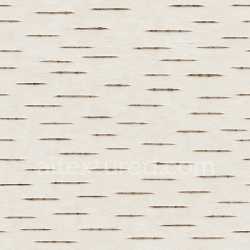 seamless Polished Birch Bark Texture Seamless texture 8k free download PBR