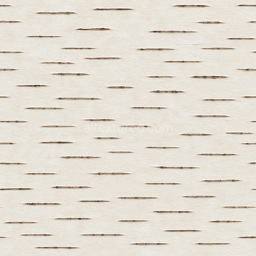 Polished Birch Bark Texture Seamless 1024X1024