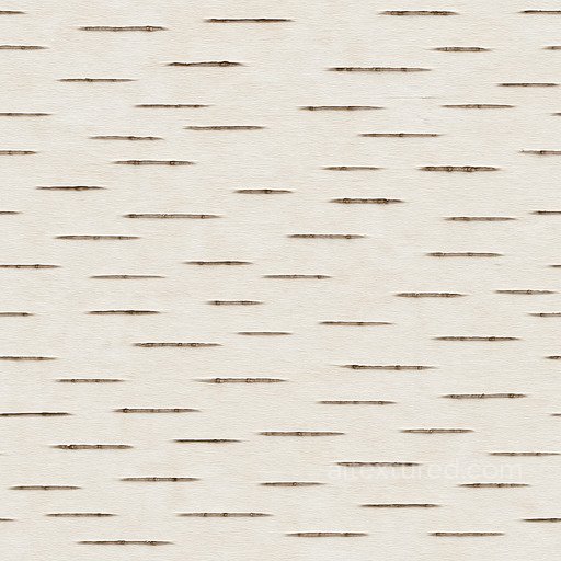 Polished Birch Bark Seamless Texture seamless Bark PBR texture