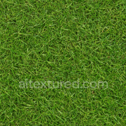seamless Natural Grass Texture texture 1024x1024 free download PBR