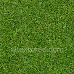 seamless Natural Grass Texture texture 8k free download PBR