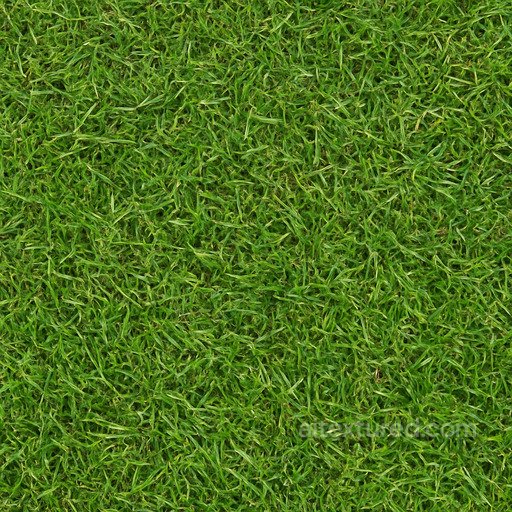 Natural Grass Texture seamless Grass PBR texture
