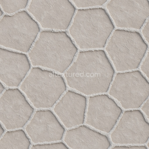 Salt Flats Polygon Cracks