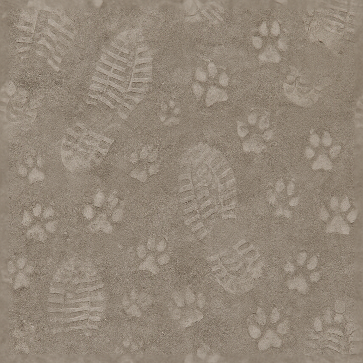 Dusty Surface With Footprint Residue And Animal Paw Pattern seamless PBR texture preview