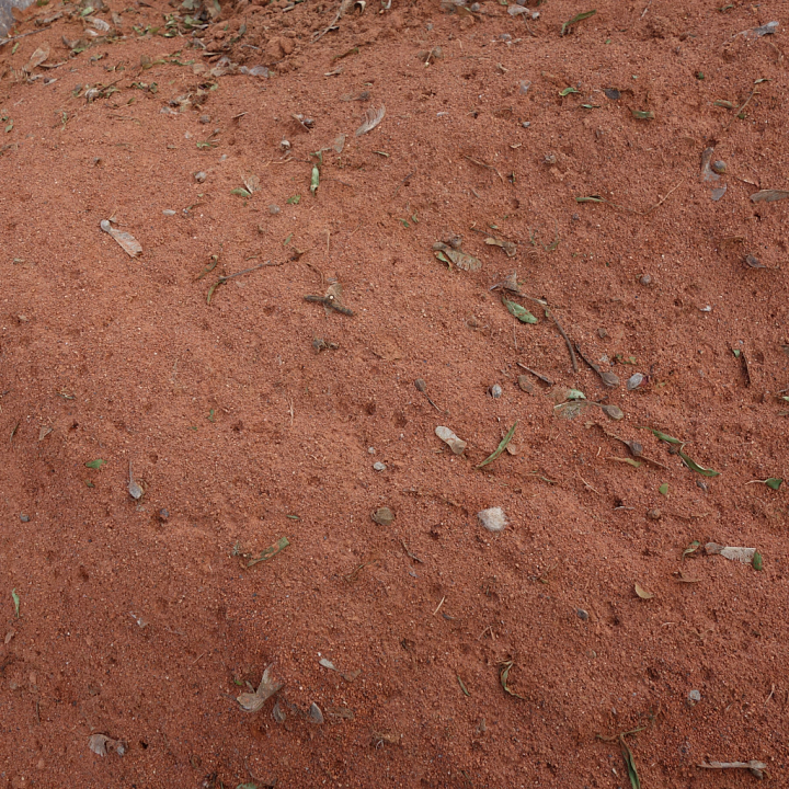 Natural Red Soil with Organic Debris Detail seamless PBR texture preview