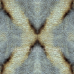seamless Seamless 3D Reptilian Scaled Skin PBR Texture with Organic Scale Pattern and Color Variation texture 8k free download PBR