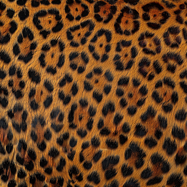 Leopard Print Fur Leather with Realistic Hair Detail seamless PBR texture preview