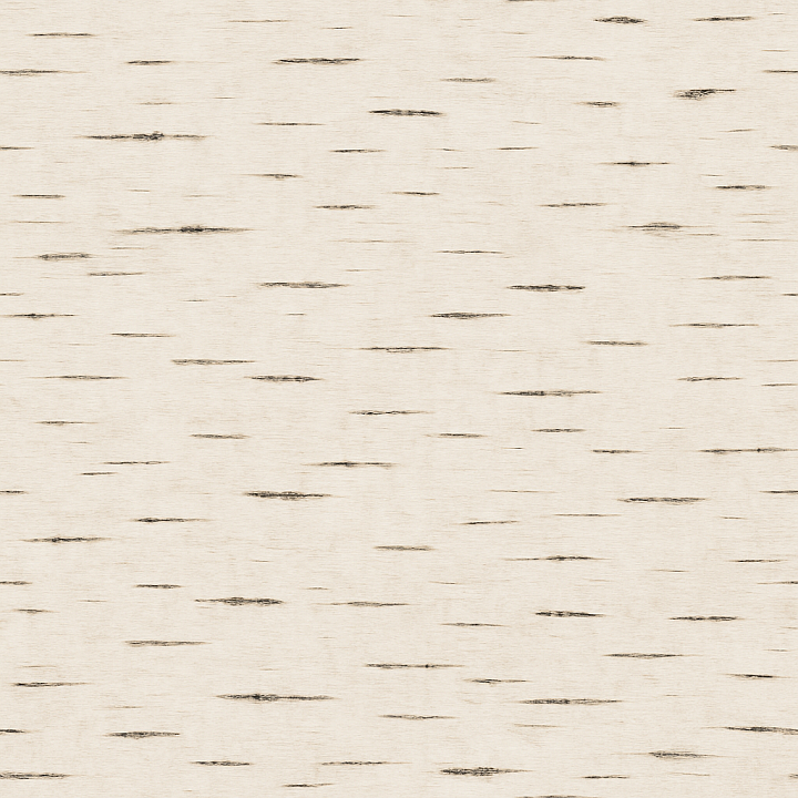 Smooth Birch Wood seamless PBR texture preview