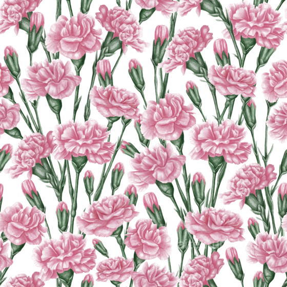 Pink Flower Texture of Pink Carnation Flowers with Green Stems Pink Flower texture preview
