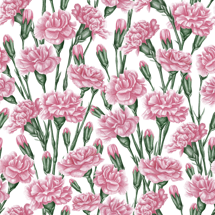 Pink Flower of Pink Carnation Flowers with Green Stems seamless PBR texture preview