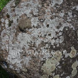 seamless High-Resolution Stone Texture with Natural Moss and Lichen Growth texture 8k free download PBR