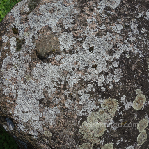 Stone Texture with Natural Moss and Lichen Growth seamless Stone PBR texture