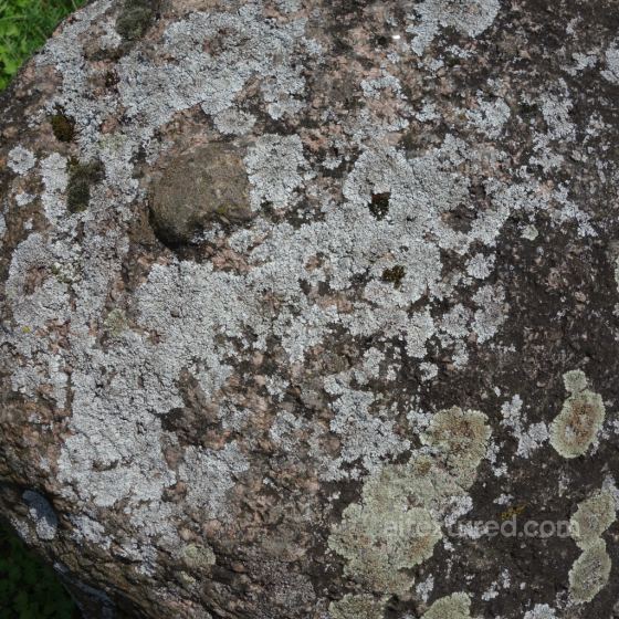 Stone Texture with Natural Moss and Lichen Growth Stone texture preview