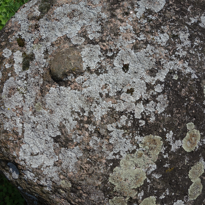 Stone with Natural Moss and Lichen Growth seamless PBR texture preview