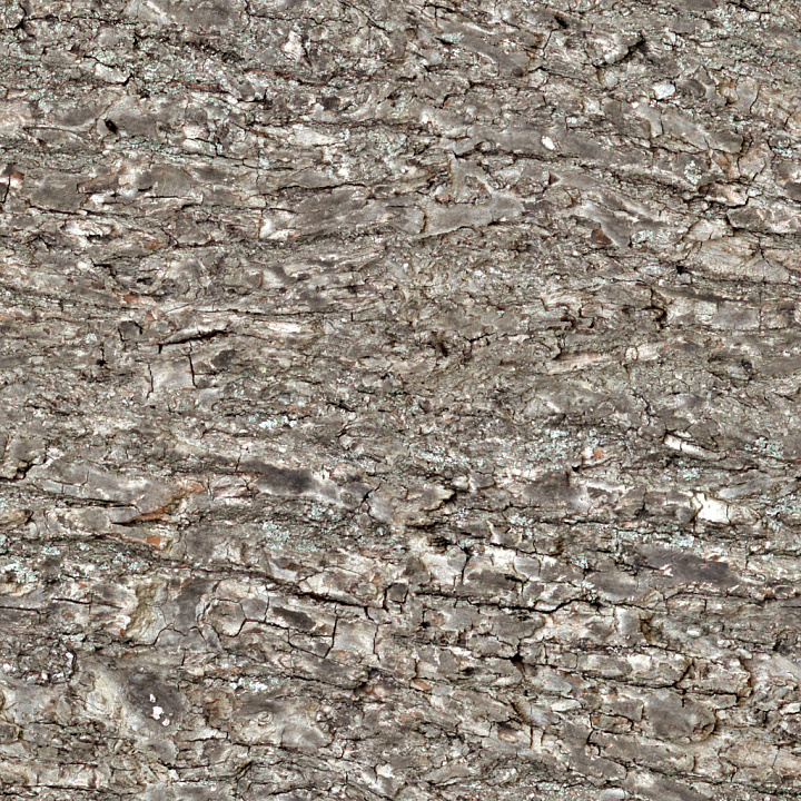 Bark 6 by Share Textures seamless PBR texture preview
