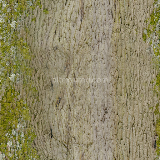 Seamless Tree Bark 03 by Texture Haven – PBR 3D Texture (8K ready)
