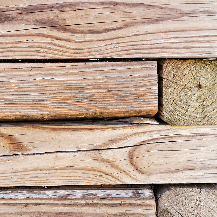 Photorealistic Natural Wood Plank seamless PBR texture preview