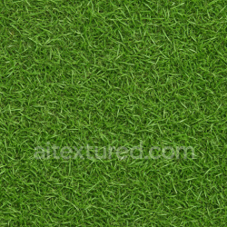 seamless Photorealistic Grass Seamless Texture texture 1024x1024 free download PBR
