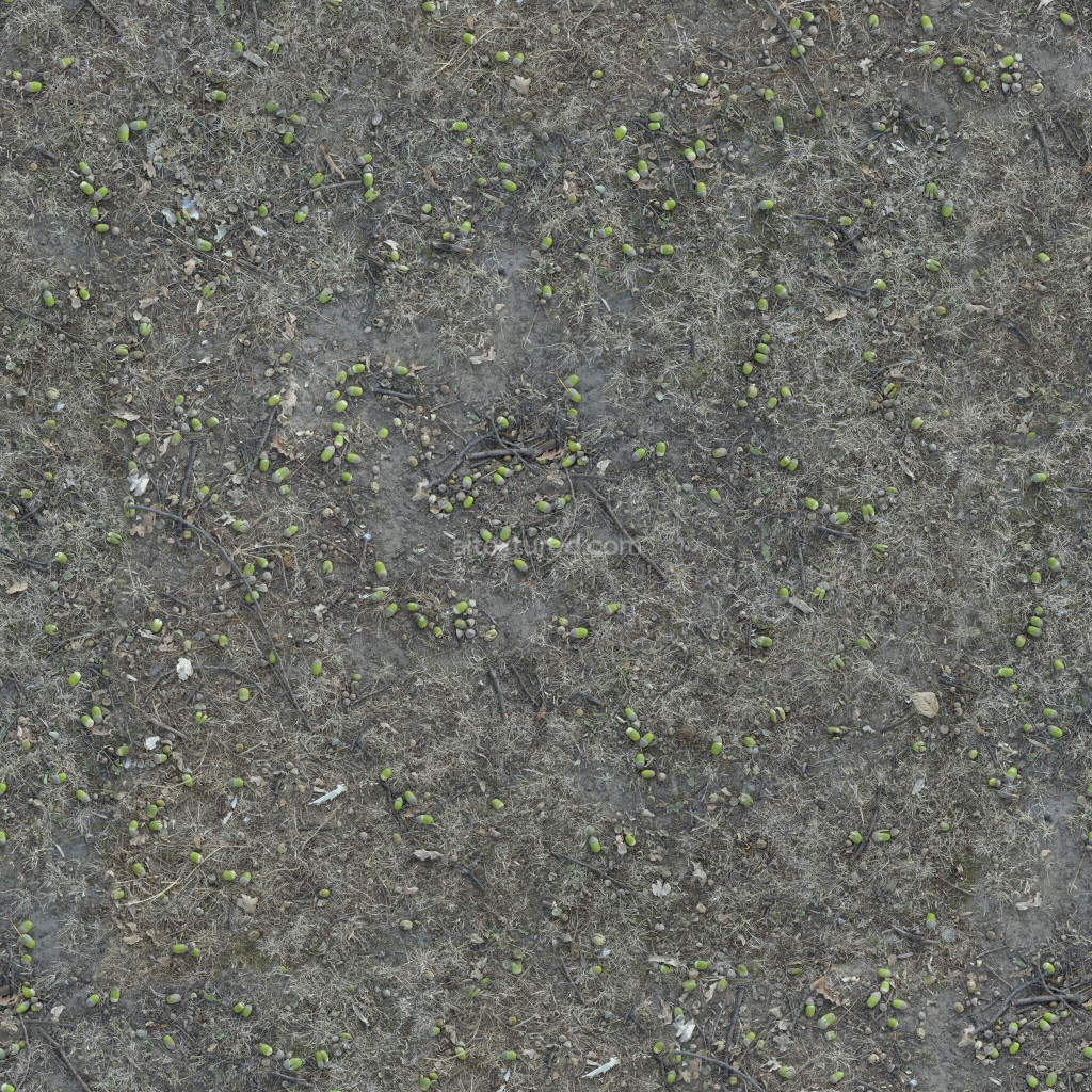 Seamless ground texture with grass and dirt details