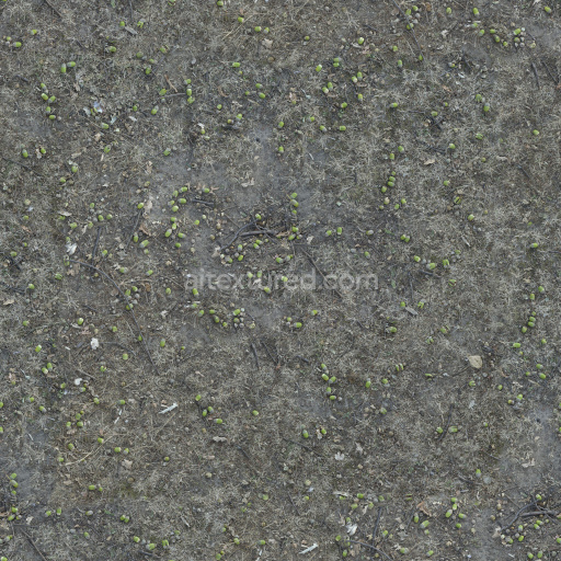 Ground Earth Natural Dirt Grassy Rough Organic Weathered Textured Outdoor
