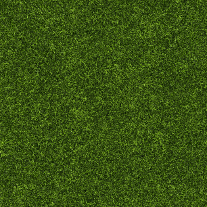 Clean Forest Moss seamless PBR texture preview