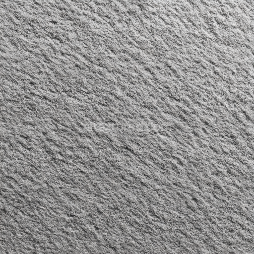 Seamless 3D Felt PBR Texture Featuring Light Gray Dense Wool Fibers with Subtle Texture