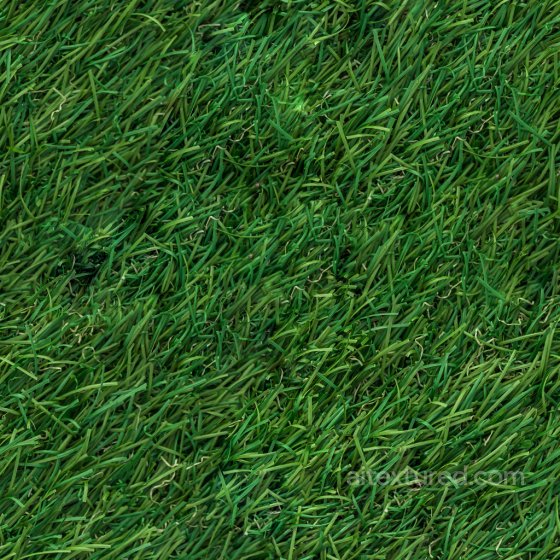 High Quality Seamless Grass Texture Ground surface texture preview