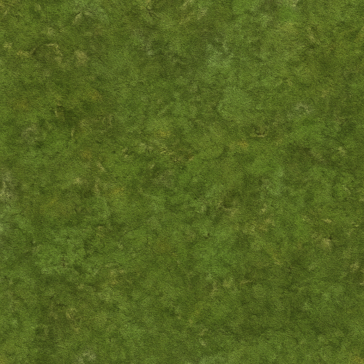 Aged Green Moss seamless PBR texture preview