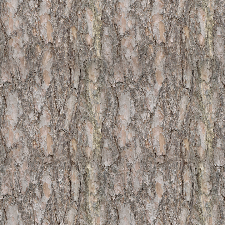 Bark 004 By Textures seamless PBR texture preview