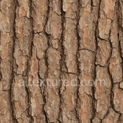 seamless Worn Pine Bark Texture Seamless 1024X1024 texture 1024x1024 free download PBR
