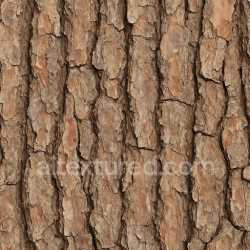 seamless Worn Pine Bark Texture Seamless texture 8k free download PBR