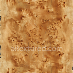 seamless Seamless 3D Birch Wood Burl PBR Texture with Knots and Grain Detail texture 8k free download PBR