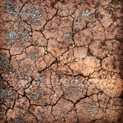 seamless High-Resolution Cracked Dry Soil Texture for PBR 3D Models texture 8k free download PBR